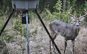 Should You Stock Deer Feeders?