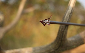 14 Tough-As-Nails Fixed-Blade Broadheads for 2018