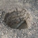 Contractor Plays Complementary Role in Hydroexcavation and Industrial Cleaning Markets
