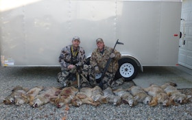 Coyote Calling Contests Take Predator Hunting Up A Notch