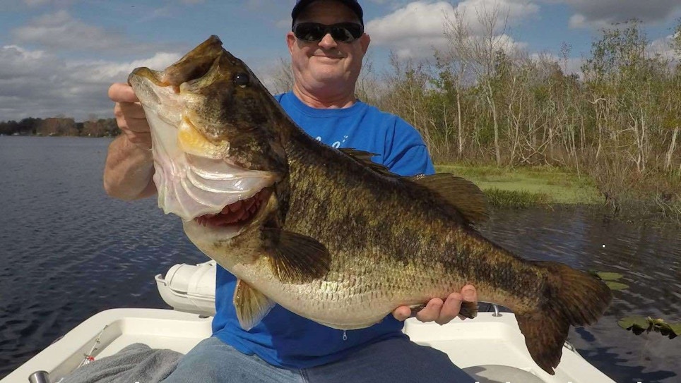 Video: How to Rig Wild Shiners for Trophy Largemouth Bass