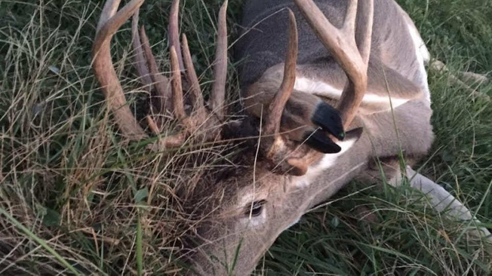Missouri Hunter Kills Massive Antlered Doe