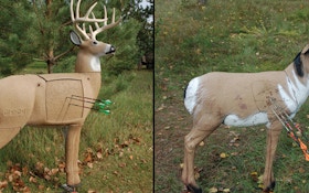 Field Test: 2008 Bowhunting Targets