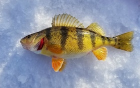 5 Ice Fishing Tips To Catch More Fish