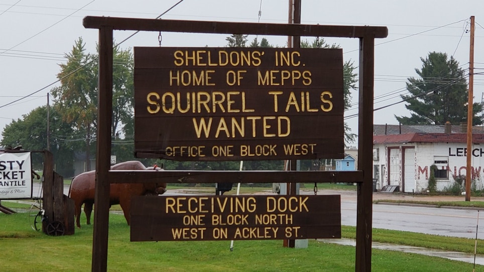 Don't Toss Those Squirrel Tails