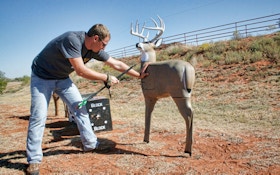 Boost Your Bowhunting Accuracy With 3-D Archery
