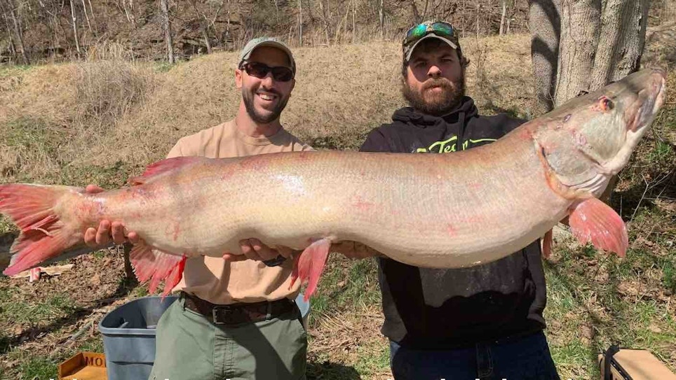 New West Virginia State Record Muskie — Caught From Shore!