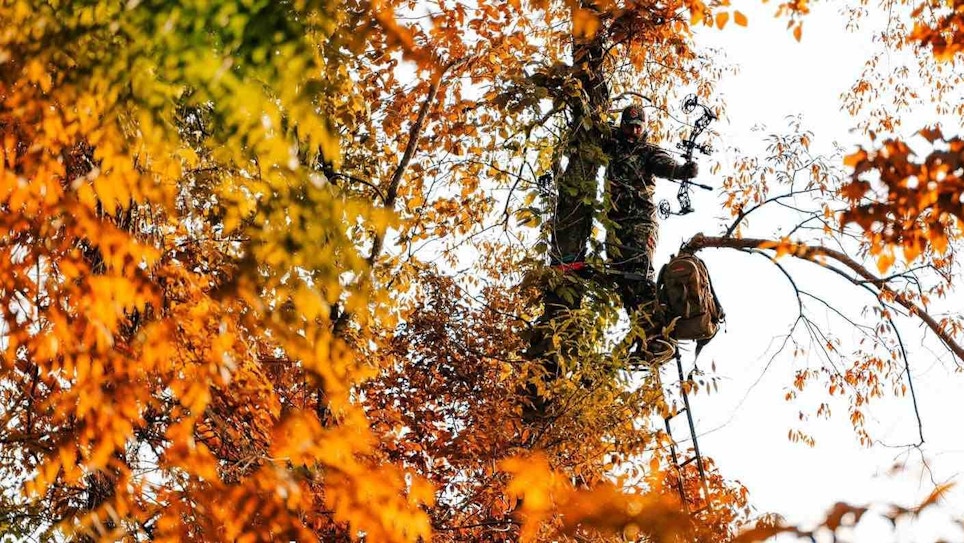Top 6 Bits of Bowhunting Advice