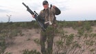 Airguns and Ammo for Hunting Varmints