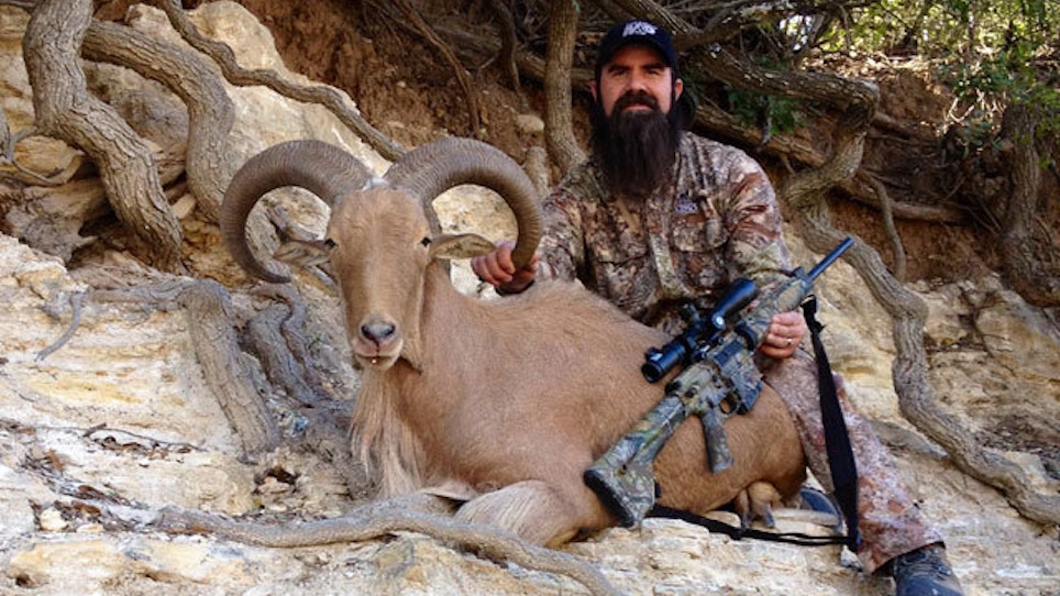 Hunting Aoudad Sheep With An AR Rifle