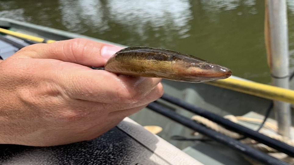 Fishing Industry News: TrueTimber at ICAST; Natchez Shooter Supply Adds Fishing