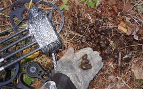 How much do you know about deer poop?