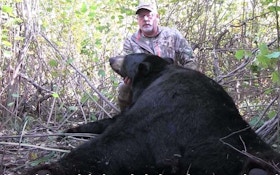 Video: Best Broadheads and Shot Angles for Black Bears