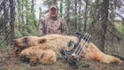 Choose the Right Canadian Bear Hunt for You