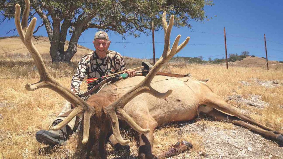California Challenge: Pursuing Tule Elk With a Traditional Bow