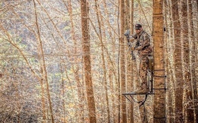 Bowhunting Shooting Stance: Why Open Is Ideal