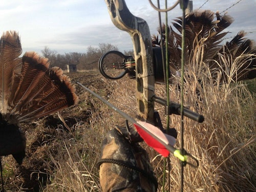 Here’s the author’s view as he looks between the two Primos decoys. Ideally, birds will approach in a line directly toward these decoys. Shots are almost always head-on, which is perfect for a bow.