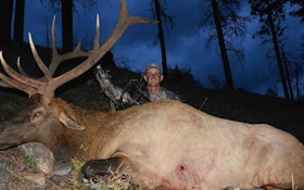 Bowhunting Idaho Elk — The Toughest DIY Bowhunt in America?
