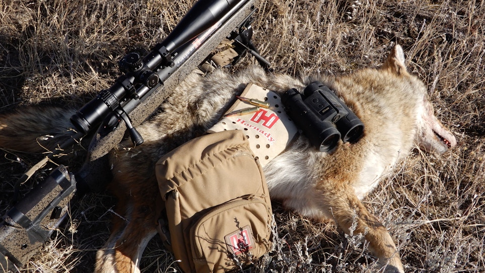 Which Riflescope for Coyotes Is Right for You?