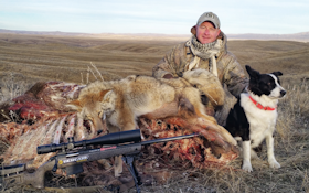 5 Natural Bait Tips for More Coyote Hunting Success