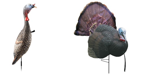 The Primos B-Mobile (right) is lightweight and looks great in the field, especially when it’s windy. The author replaces the included fake fan with a real turkey fan. The fan detaches from the body and everything can be packed inside the body cavity. It’s easy for the author to carry two Primos B-Mobiles and one Flextone Funky Chicken (left) no matter the hiking distance.