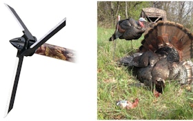 Turkey Hunters: Top 3 Reasons to Shoot a Magnus Bullhead Broadhead