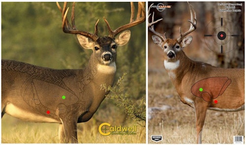As shown on the targets above, if you aim at the red dots, then you’ll miss the lungs. Instead, aim for the green dots.