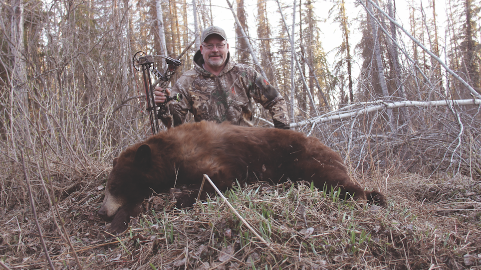 The Best Places to Hunt a Color-Phase Bear