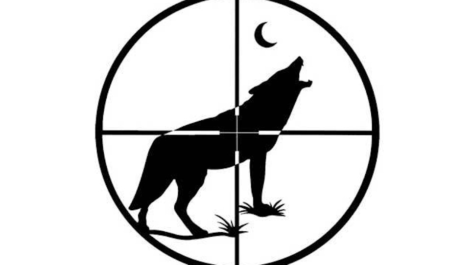 California Regulators Propose Coyote-Killing Ban