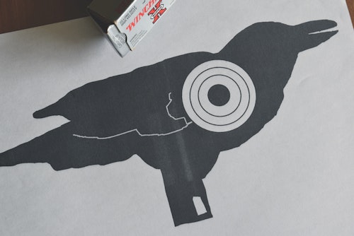 You’ll want a 75-yard zero for rimfires on crow-size targets, so bullets don’t miss high at mid-range.