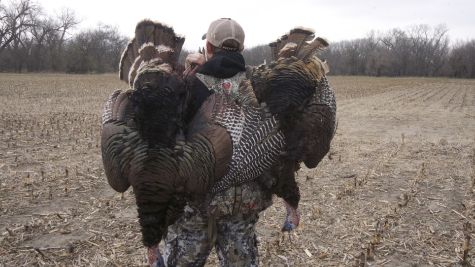 Hunt Wild Turkeys On a Budget