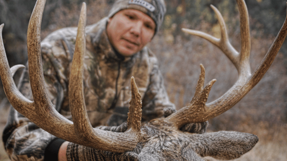 Rules For Bowhunting The Whitetail Rut