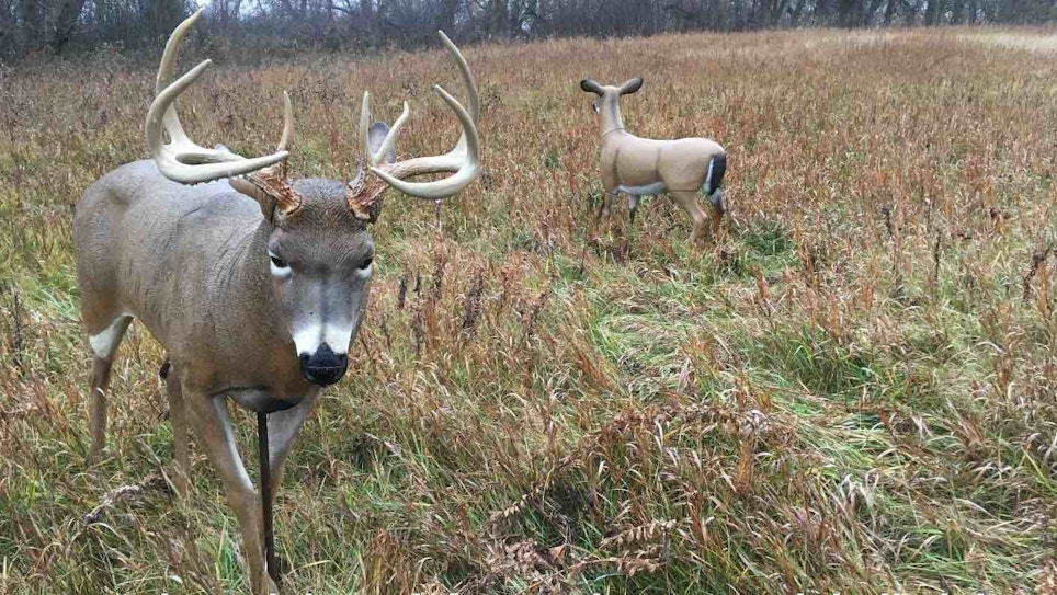 Decoy + Treestand + Ozone = Deadly Deer Combination