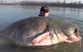 VIDEO: That's One Huge Catfish...Seriously