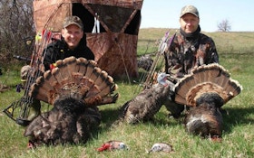 Bowhunting Turkeys: Why I Don’t Pass on Jakes
