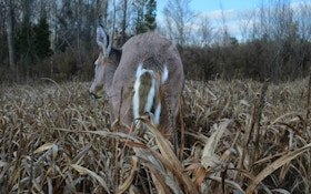 Whitetail Hunters: A Simple Decoying Trick for Avoiding Tag Soup in 2019