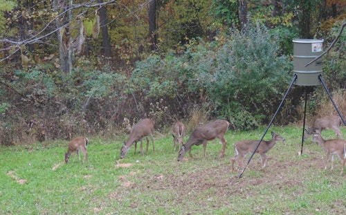 When legal, many outfitters use bait/feeders near deer stands. If you dislike hunting over bait, choose an outfitter that doesn’t bait.