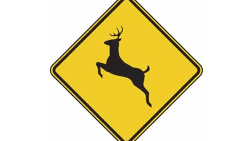 Season to watch out for wildlife on Wyoming roads