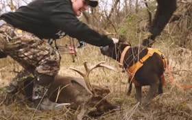 Bowhunting Video: Whitetail Doe Jumps the String — But Trophy Buck Doesn’t