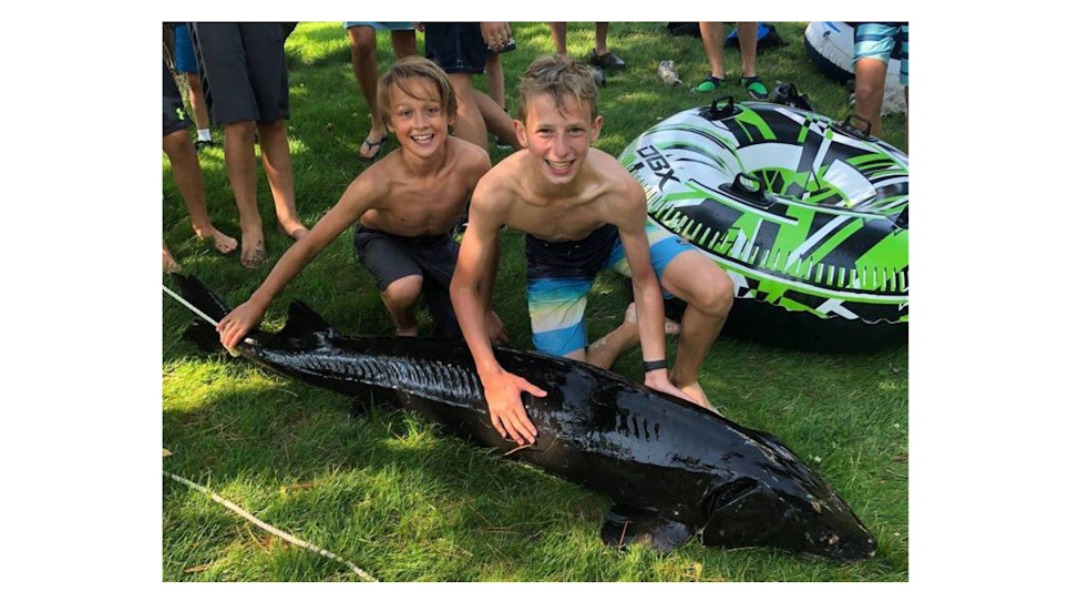 Video: 6-Foot Sturgeon Lassoed by Two Minnesota Boys