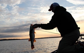 Northern Anglers Can Keep Largemouth Bass