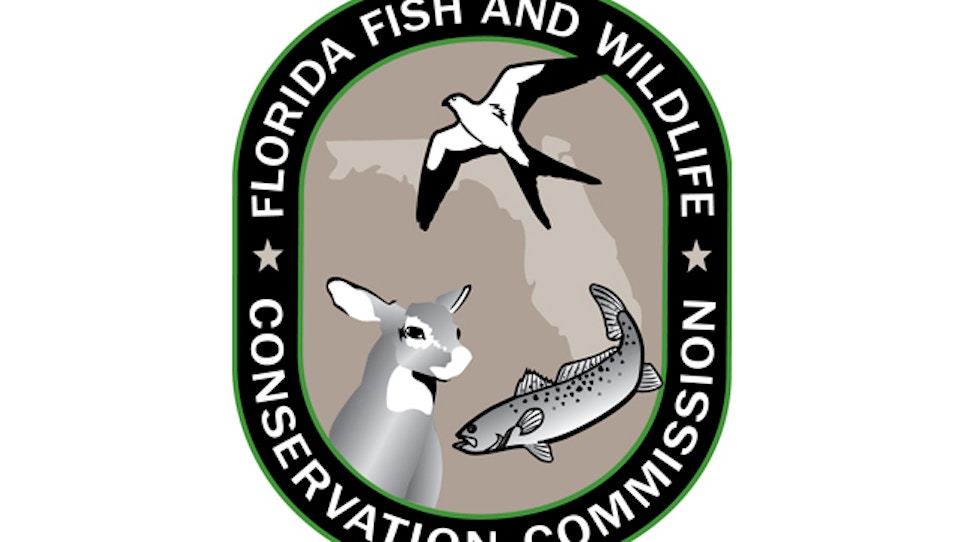 Wildlife Officials Capture, Relocate Florida Panther