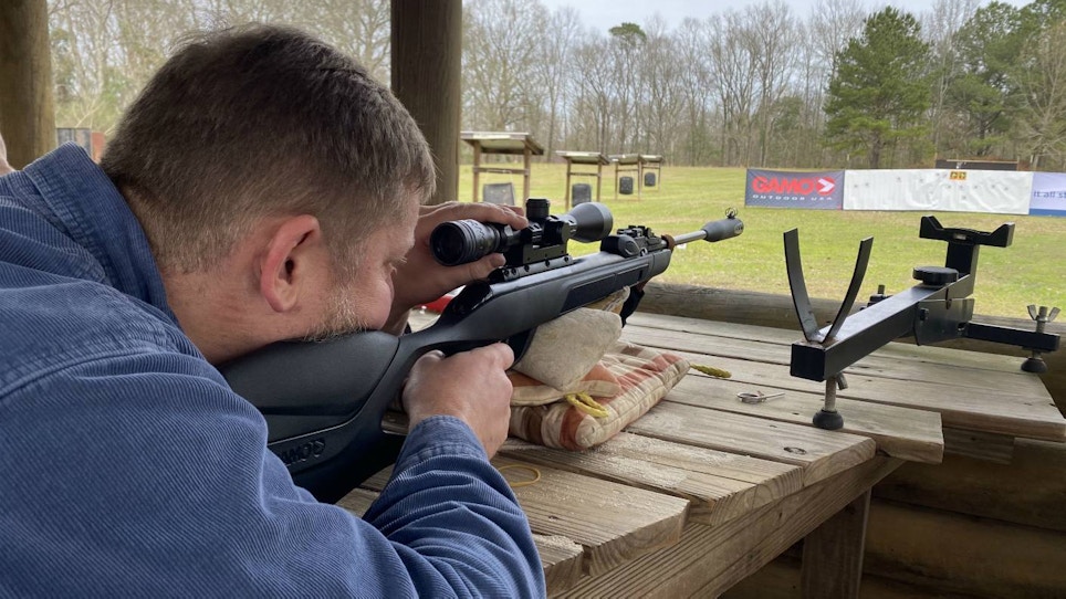 Tips for Hunting Squirrels in 3 Seasons