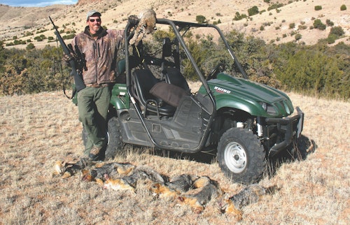 One of the advantages of hunting private lands in the West is the ability to hunt at night with spotlights with landowner permission. The author bagged these Southwestern gray foxes and a bobcat on a large western New Mexico ranch. 
