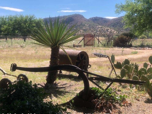 View from the back porch of Rancho Mababi.
