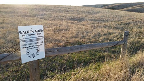 Scouting tip: Many WIAs in South Dakota look like they would hold only pheasants or waterfowl. Don’t be fooled. SoDak whitetails love living in grass and cattails, and if you hike off the road a bit, you might discover small pockets of trees visited often by rutting bucks.