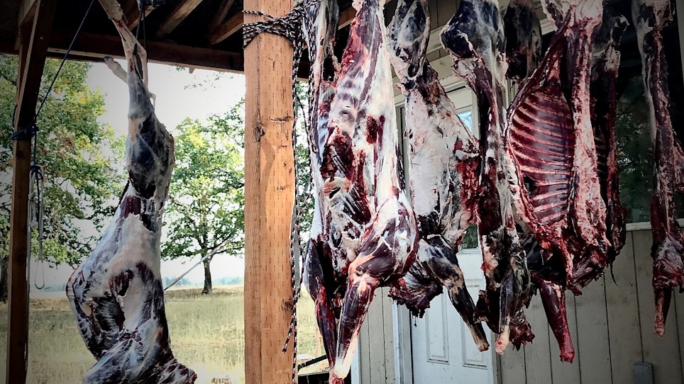 5 Benefits of Eating Wild Game