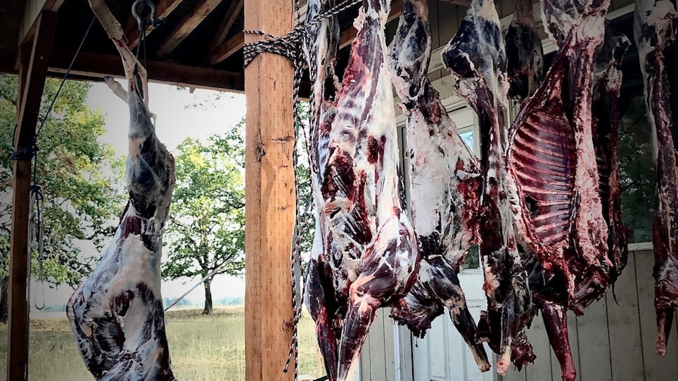5-Step Plan for Warm Weather Game Meat Care