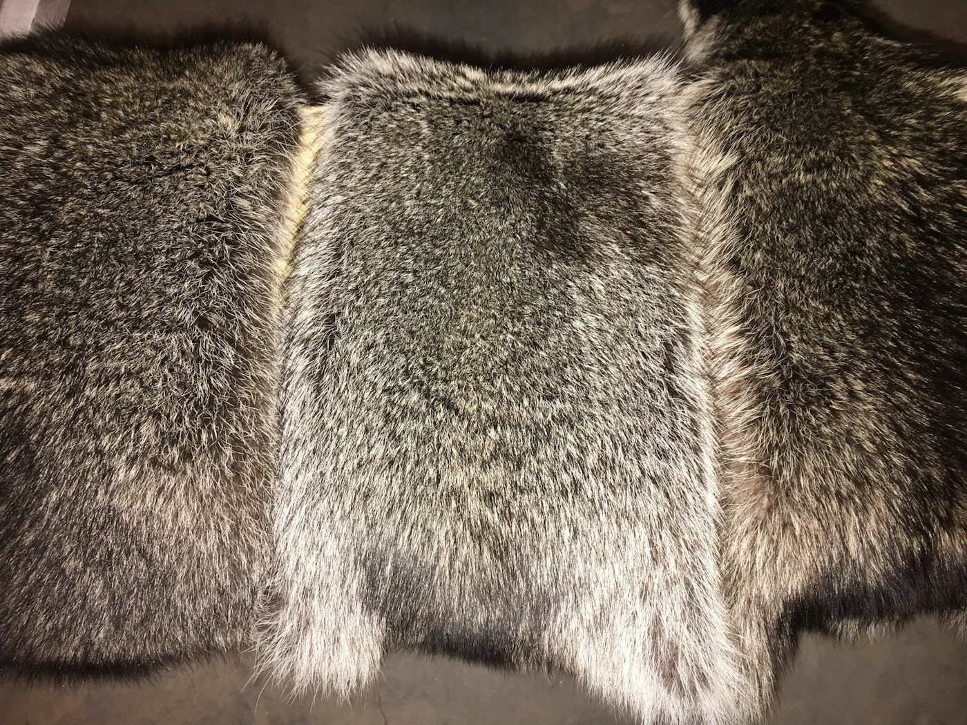 Small Animals Rug Taxidermy