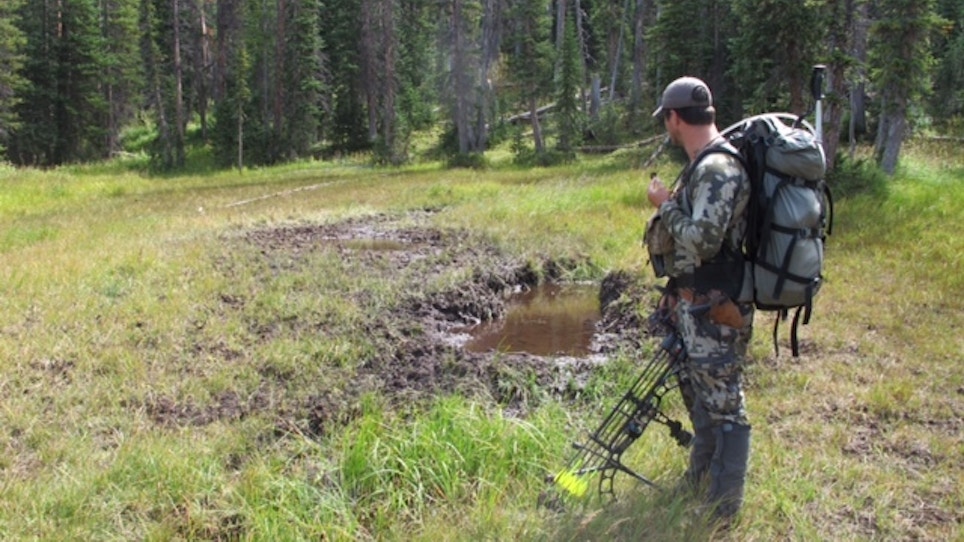 Learn To Alter Your Bowhunt To Match The Conditions
